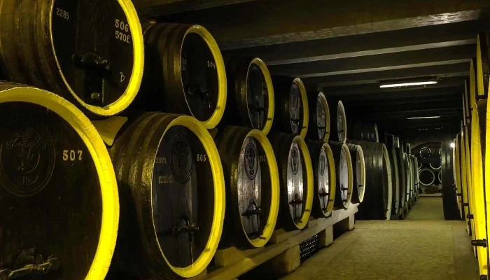 Statiunea De Cercetare Si Dezvoltare Pentru Viticultura Si Vinificatie Pietroasa Recenzii - Pietroasele