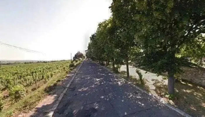 Statiunea De Cercetare Si Dezvoltare Pentru Viticultura Si Vinificatie Pietroasa Street View Si 360deg - Pietroasele