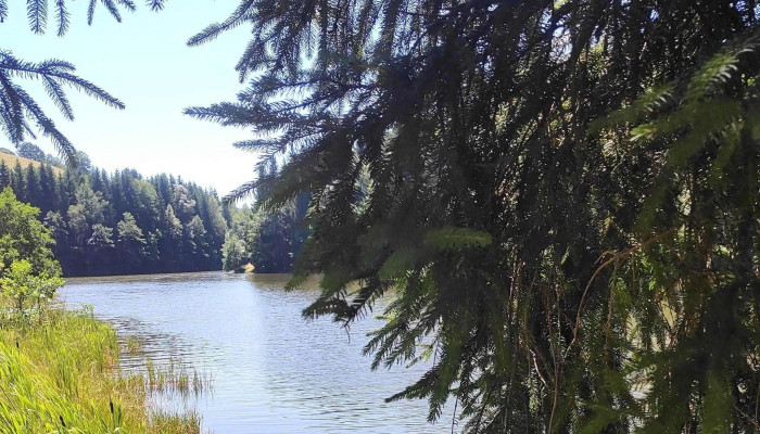 Statiunea Trei Ape Brebu Nou -  Scor - Teregova