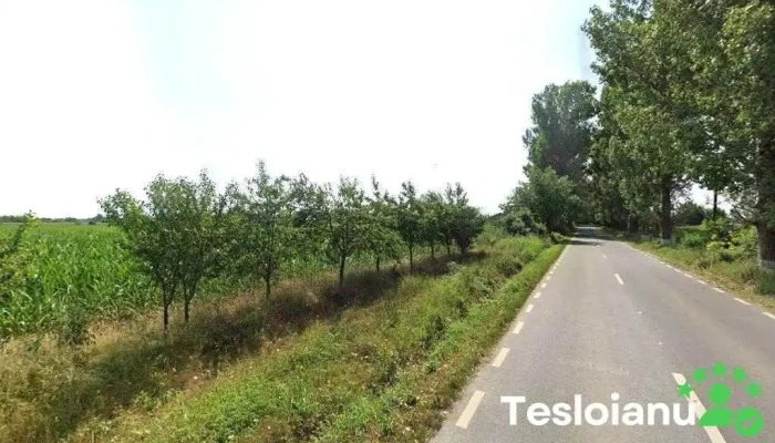 Stație Itp - Siliștea Snagovului 077117
