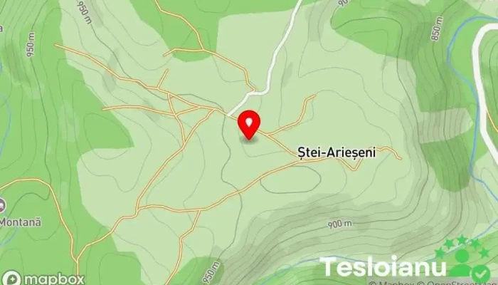 hartă a Ștei-Arieșeni  în Ștei-Arieșeni