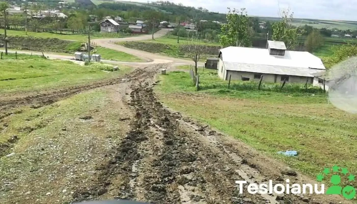 Stiubieni Program - Știubieni