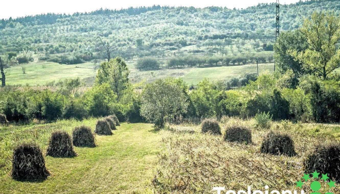 Stoenesti Număr - Stoenești