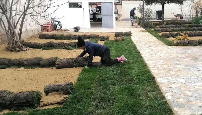 Strada Fundatura Aproape De Mine - Ogrezeni