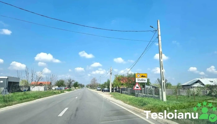 Studina -  Promoție - Studina