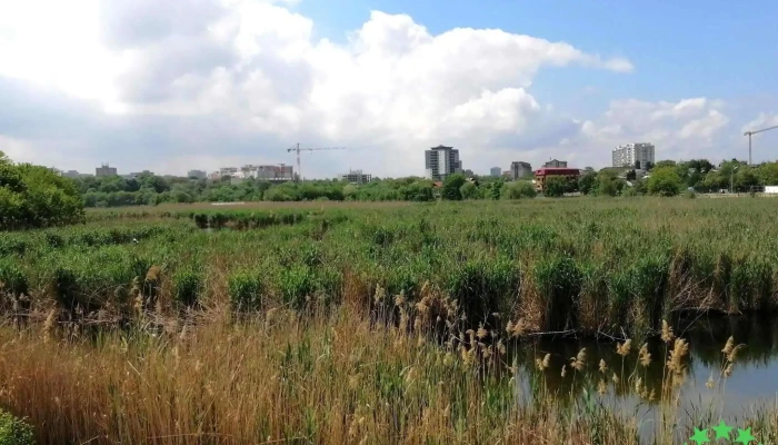 Stufarisurile De La Dobroiesti Zonă - Dobroești