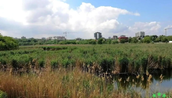 Stufărișurile de la Dobroiești - Dobroești