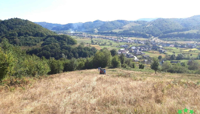 Suciu De Jos -  Munte - Suciu De Jos
