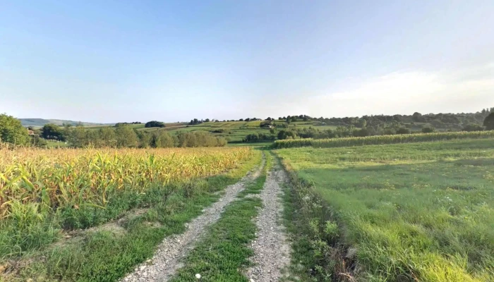 Suharau Street View Si 360deg - Suharău