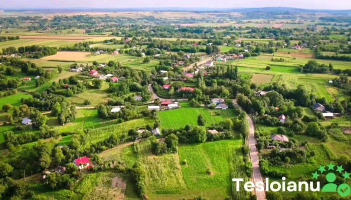 Suharau Videoclipuri - Suharău