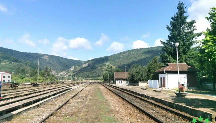 Suncuius Sina - Șuncuiuș