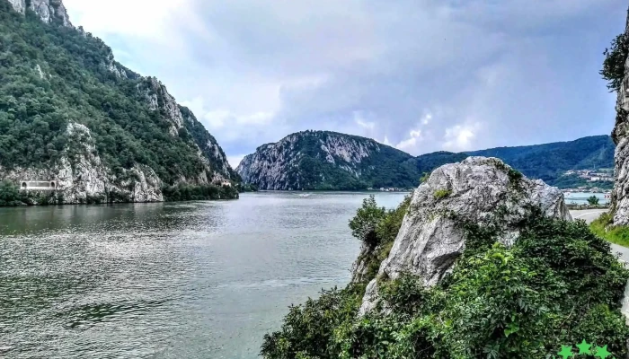 Svinita Prețuri - Sviniţa