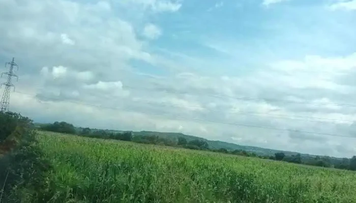 Săcălășeni - Săcălășeni