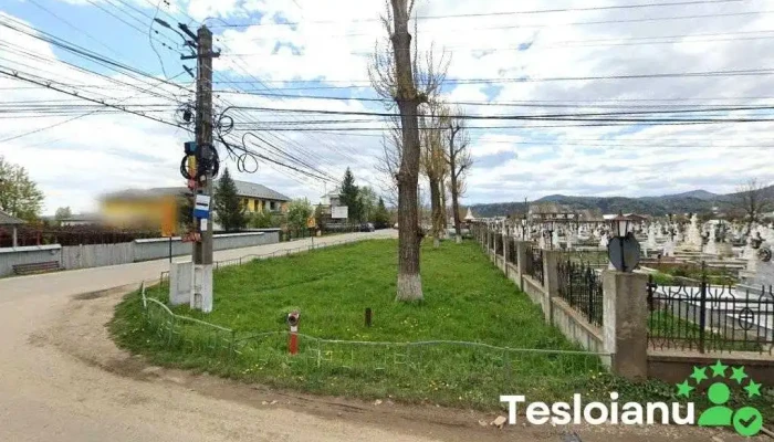 Săvinești Sat - România