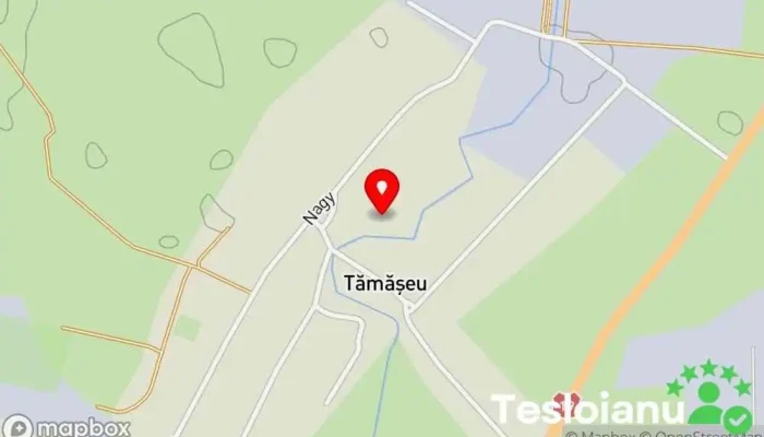 hartă a Tămășeu  în Tămășeu