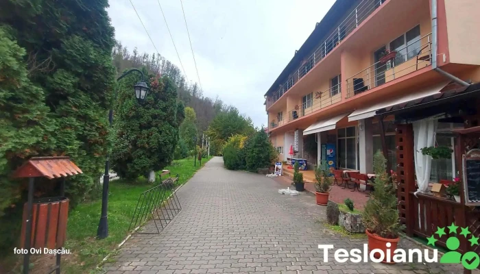 Tanamera -  Exterior - Moneasa