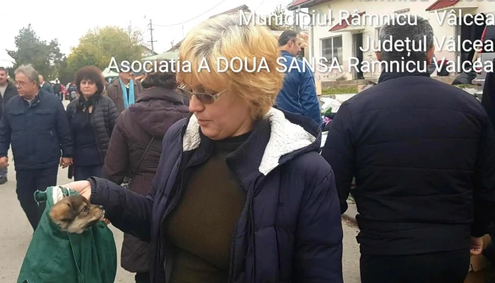 Targ de vechituri Goranu - Râmnicu Vâlcea