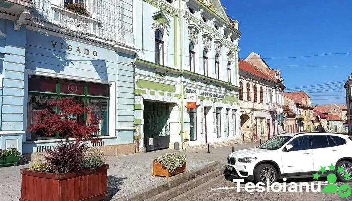 Targu Secuiesc Videoclipuri - Târgu Secuiesc