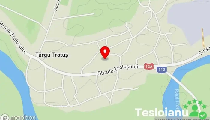 hartă a Târgu Trotuș  în Târgu Trotuș