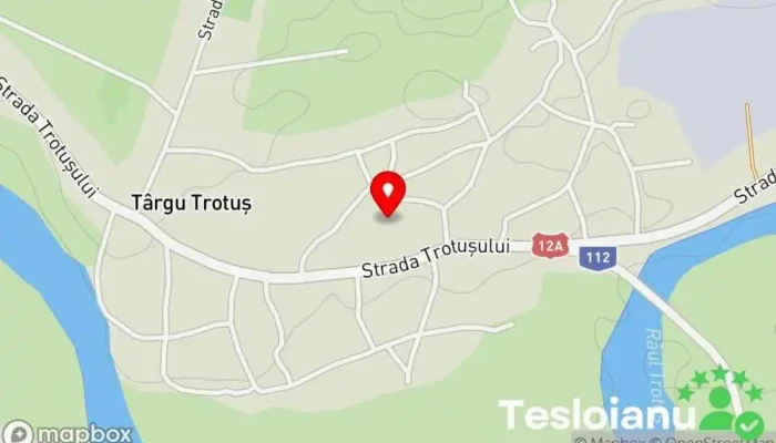 hartă a Târgu Trotuș  în Târgu Trotuș