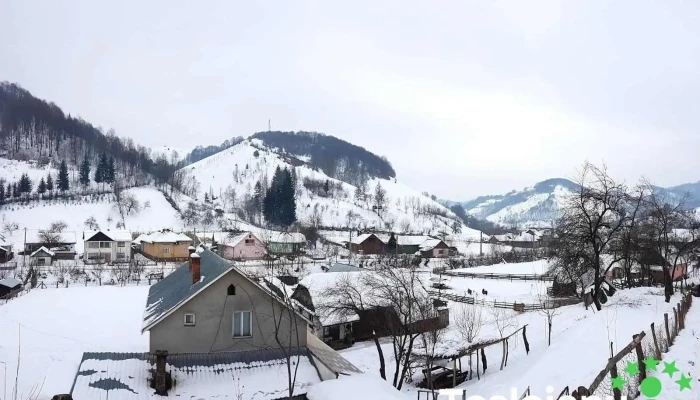 Târlișua - Târlișua