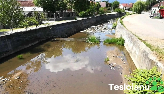 Tarna Mare -  Videoclipuri - Tarna Mare