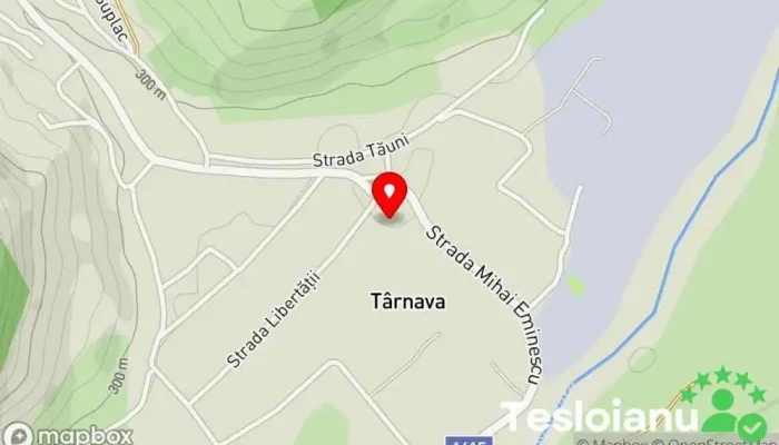 hartă a Târnava  în Târnava