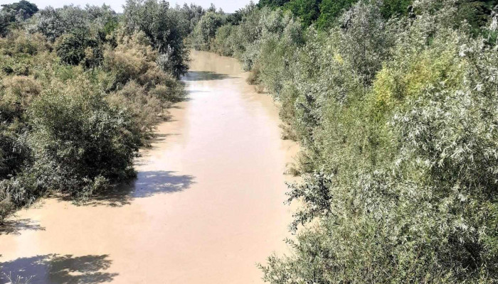 Tataranu Deschis Acum - Tătăranu