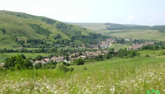 Tatarlaua Zonă - Tătârlaua