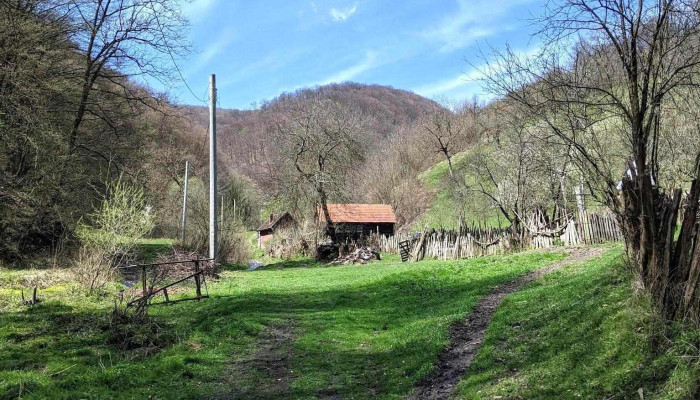 Tataus Site Web - Romania