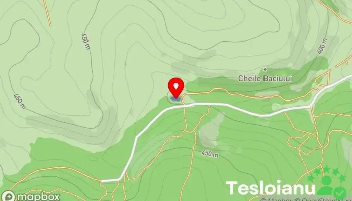 hartă a Tăul de la Gura Baciului Lac de pescuit în Unnamed Road