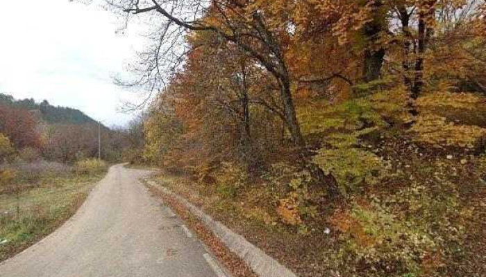 Taul De La Gura Baciului Street View Si 360deg - Unnamed Road