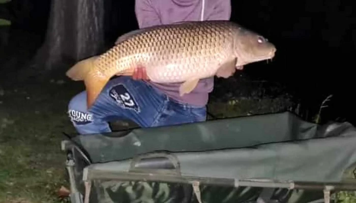 Taul Secas Prețuri - Miercurea Sibiului