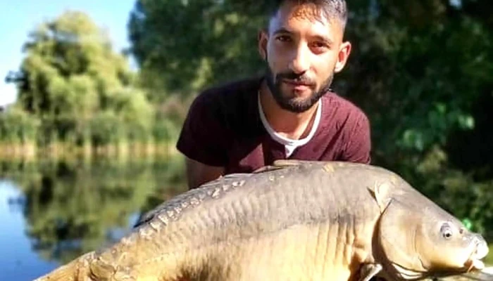 Taul Secas Reduceri - Miercurea Sibiului