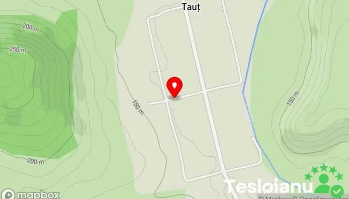 hartă a Tauț  în Tauț