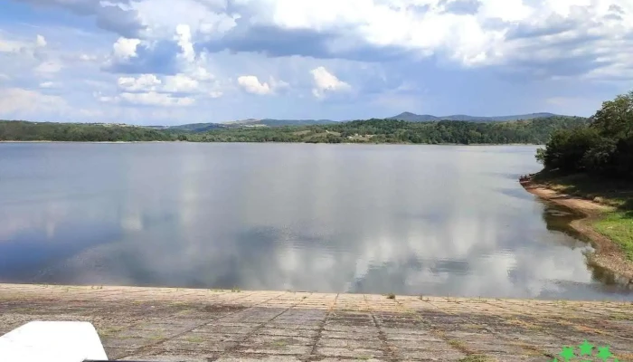 Tauț - Tauț