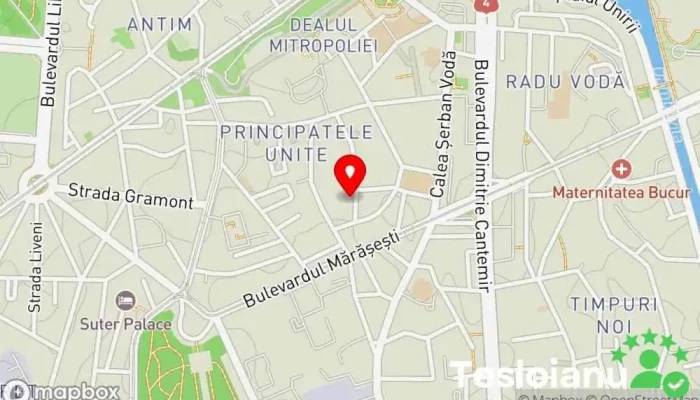 hartă a Techno Engineering & Associates Consultant în inginerie în București