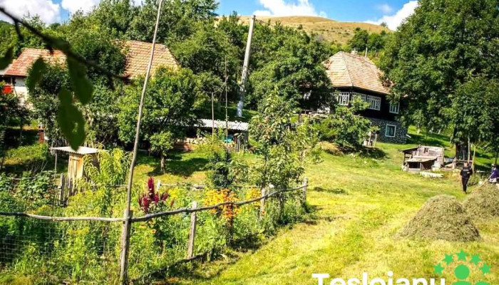 Tecșești - Tecșești