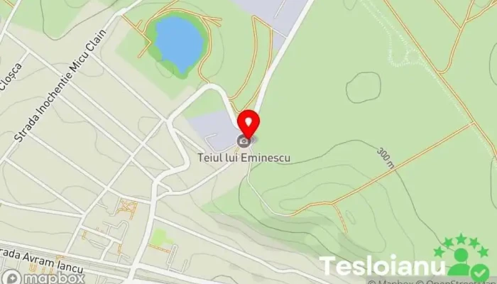 hartă a Teiul lui Mihai Eminescu Loc pitoresc în Blaj