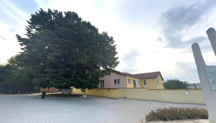 Teiul Lui Mihai Eminescu -  Street View Si 360deg - Blaj