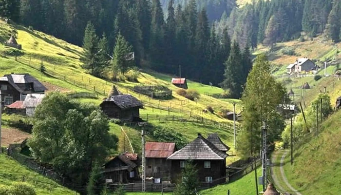 Teo Barsan Traditional Srl Atelierul Teodor Barsan -  Număr - Bârsana