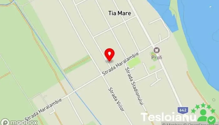 hartă a Tia Mare  în Tia Mare