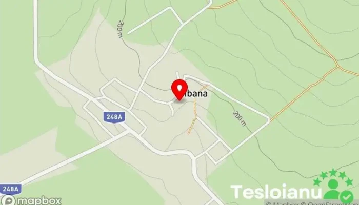 hartă a Țibana  în Țibana
