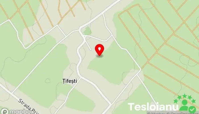 hartă a Țifești  în Țifești