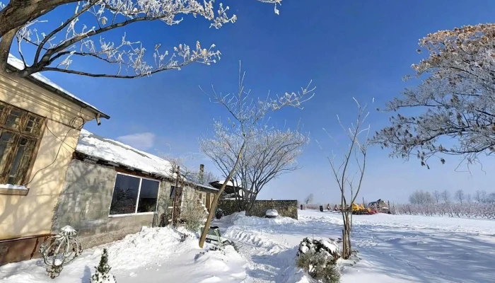 Tifesti Street View Si 360deg - Țifești