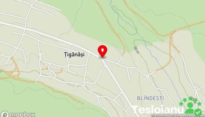 hartă a Țigănași  în Țigănași