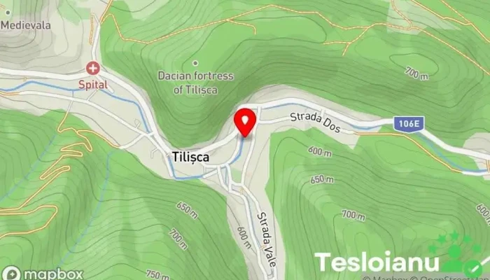 hartă a Tilișca  în Tilișca