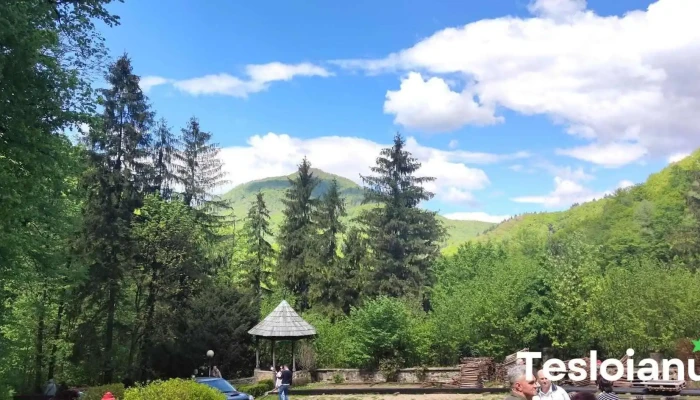 Tismana -  Munte - Romania
