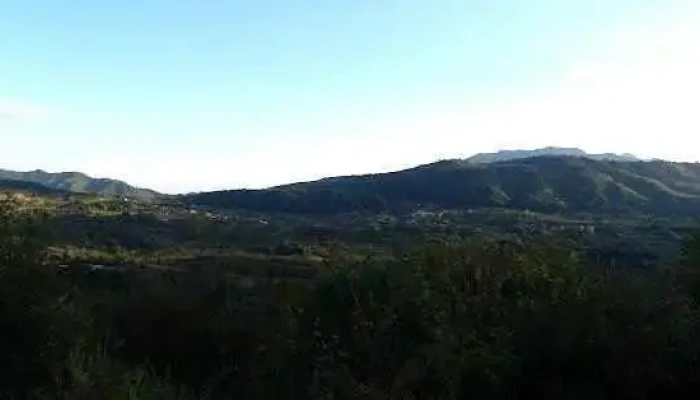 Titesti Deschis Acum - Titești
