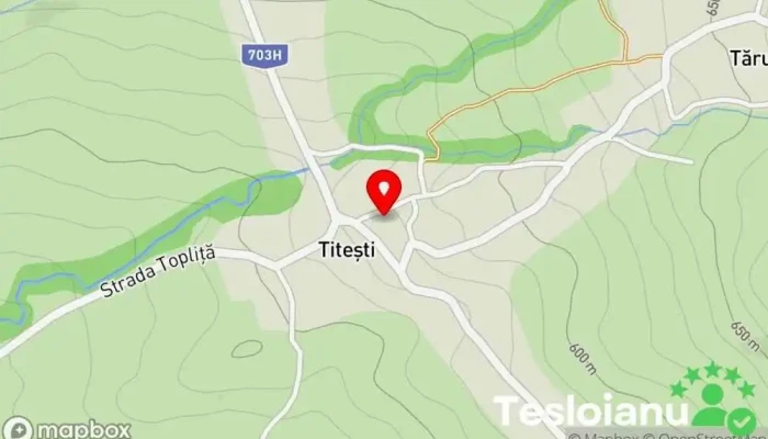hartă a Titești  în Titești
